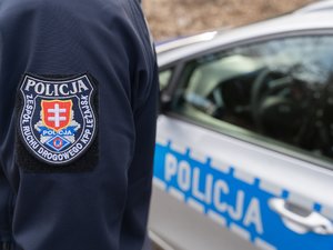 Zdjęcie przedstawia policyjny radiowóz i fragment umundurowania policjanta z tarczą leżajskiej komendy.