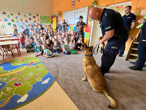 Zdjęcia przedstawiają funkcjonariuszy Komendy Powiatowej Policji w Leżajsku podczas spotkania z dziećmi w przedszkolu. Na zdjęciach znajduje się również policyjny pies &quot;Dżina&quot; i jej przewodnik