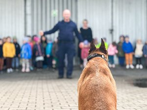 Zdjęcie przedstawia psa - owczarka belgijskiego, który frontem skierowany jest w stronę przewodnika i grupy dzieci. Tło jest zamazane. Przewodnik, umundurowany funkcjonariusz wydaje komendy przy użyciu rąk.