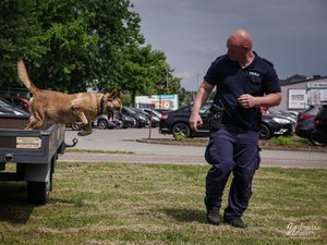 Fotografie przedstawiają policjantów w umundurowaniu służbowym, biorących udział w pikniku z okazji dnia dziecka. Na zdjęciach widoczny jest także pies służbowy oraz jego przewodnik.