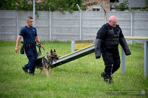 Zdjęcia przedstawiają przebieg wojewódzkich eliminacji do ogólnopolskich zawodów kynologicznych. Na pierwszych planach widoczne są psy służbowe oraz umundurowani policyjni przewodnicy.