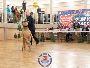 Zdjęcia przedstawiają przebieg Wielkiej Orkiestry Świątecznej Pomocy w Leżajsku. Policjanci są umundurowani wraz z psem służbowym.