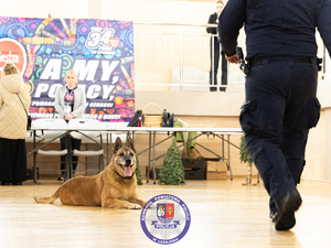 Zdjęcia przedstawiają przebieg Wielkiej Orkiestry Świątecznej Pomocy w Leżajsku. Policjanci są umundurowani wraz z psem służbowym.