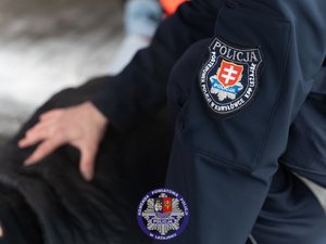 Zdjęcia przedstawiają przebieg ćwiczeń ARES-2026 w którym uczestniczyli funkcjonariusze Policji, Państwowej Straży Pożarnej, Zespoły Ratownictwa Medycznego, Żołnierze Wojsk Obrony Terytorialnej oraz Powiatowego Centrum Zarządzania Kryzysowego w Leżajsku. Na zdjęcia widoczni są funkcjonariusze, którzy realizowali procedury CBRNE. Widoczne są też osoby cywilne, które brały udział w ćwiczeniach.