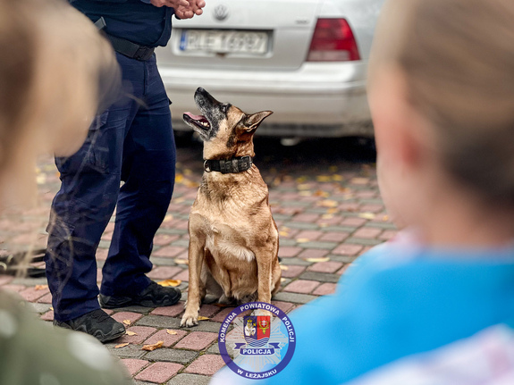 Zdjęcia przedstawiają przebieg służby Dżiny - czworonożnej policjantki.